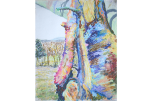 Oak and Field